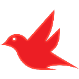Robin - Your AI Sidekick logo